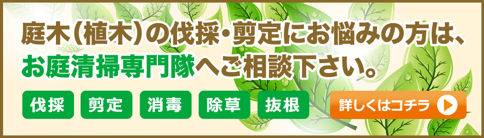 庭木の伐採・剪定ならお庭清掃専門隊にお任せください。