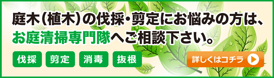 庭木の伐採・剪定ならお庭清掃専門隊にお任せください。